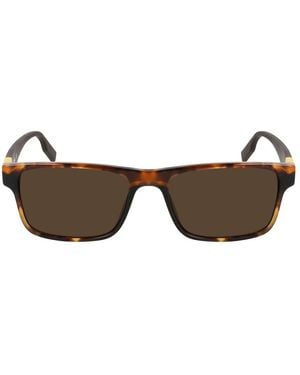 Converse Brown Acetate Sunglasses