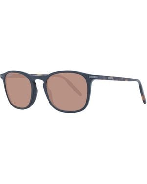 Serengeti Sunglasses - Brown