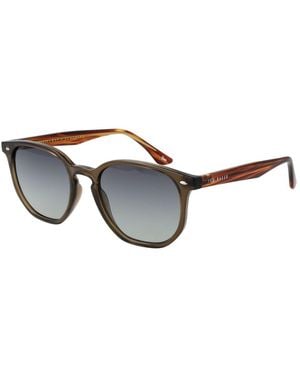 Ted Baker Brown Acetate Sunglasses - Multicolour