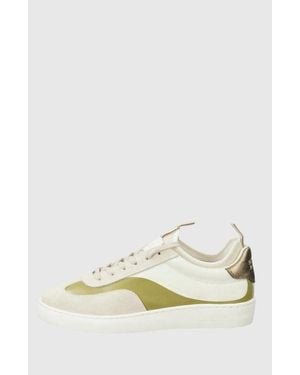 Scotch & Soda Beige Leather Low Top Sneakers - White