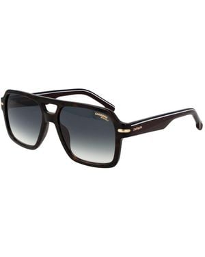 Carrera Brown Acetate Sunglasses - Black