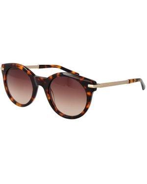 Sandro Brown Sunglasses