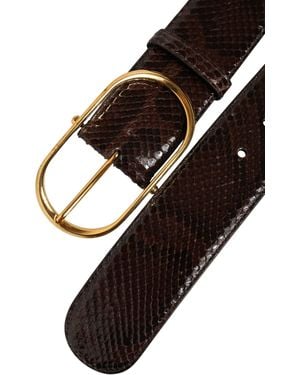 Dolce & Gabbana Brown Python Leather Gold Metal Buckle Belt - Black