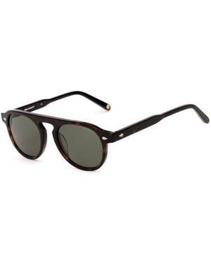 Belstaff Brown Acetate Sunglasses - Black