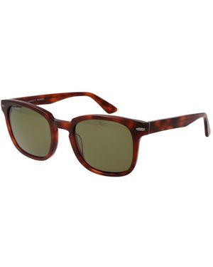 Serengeti Brown Acetate Sunglasses