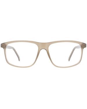 Andy Wolf Beige Acetate Glasses (frames) - Brown