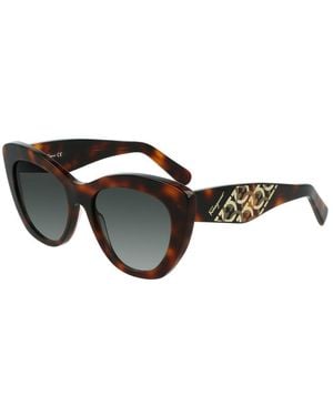 Ferragamo Brown Acetate Sunglasses - Black
