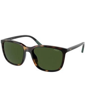 Ralph Lauren Brown Acetate Sunglasses - Green