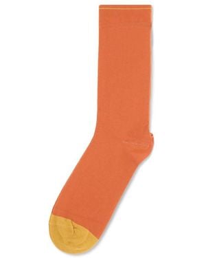 Bonne Maison Two - Orange