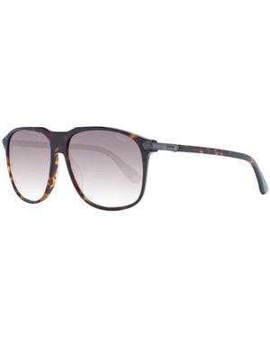 BMW Brown Men Sunglasses