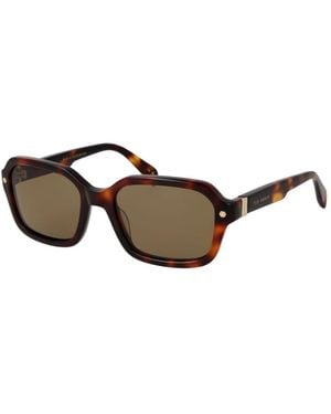 Ted Baker Brown Acetate Sunglasses