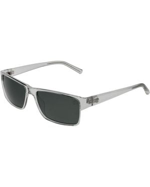 Timberland Sunglass - Multicolour