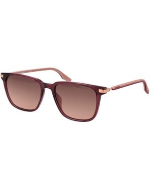 Converse Burgundy Rubber Sunglasses - Brown