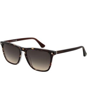Web Brown Acetate Sunglasses - Black