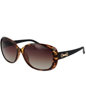 Polaroid Brown Plastic Sunglasses
