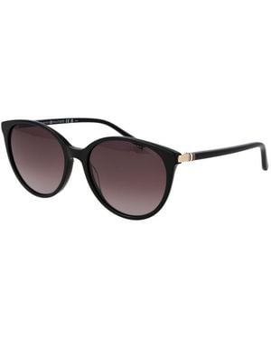 Tommy Hilfiger Black Acetate Sunglasses - Brown