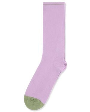 Bonne Maison Two - Purple