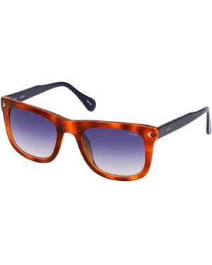Lozza Orange Acetate Sunglasses - Blue