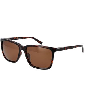 Timberland Brown Plastic Sunglasses