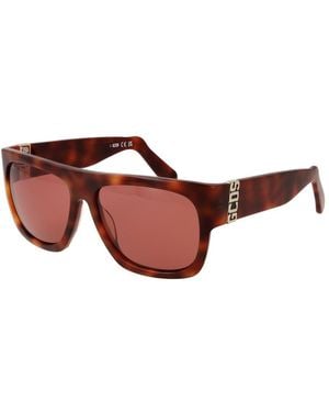 Gcds Brown Acetate Sunglasses - Red