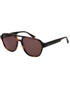 Hackett Acetate Sunglasses - Brown