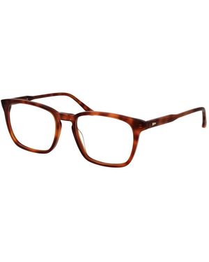 Sandro Brown Acetate Glasses (frames)