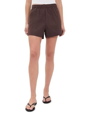 Sold Out NYC The Everything Shorts - Brown
