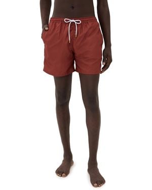 Ancora Crimson Swim Trunks 5.5 - Red