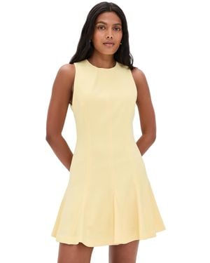 Alice + Olivia Isa Sleeveless Seamed Flare Mini Dress in