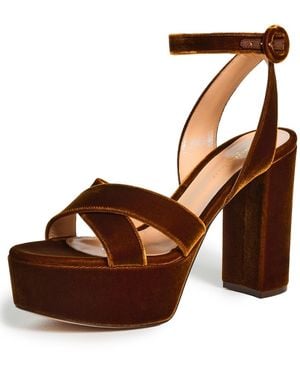 Gianvito Rossi Sabrina Velluto Heels - Brown