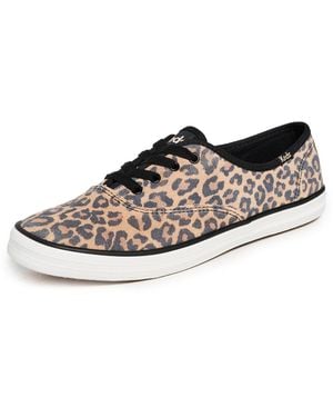 Keds Champion Leopard Suede Sneakers - Black