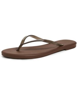 TKEES Aqua Jelly Flip Flops - Black