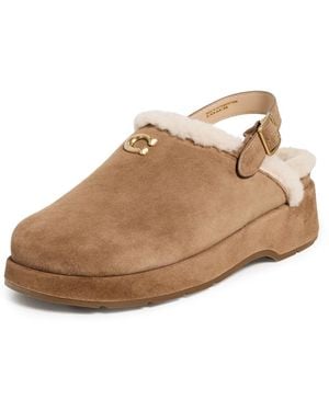 COACH Sculpted C Suede Shearling Platform Clogs - White