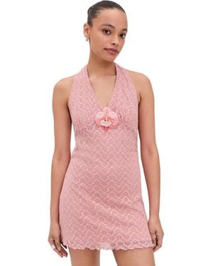 Bailey Rose Mini Dress - Pink