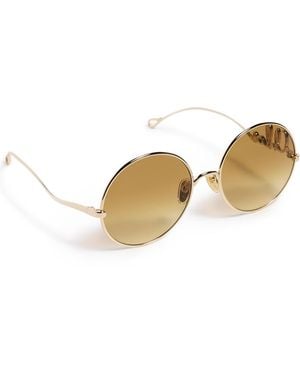 Chloé Iconic Sunglasses - Multicolor
