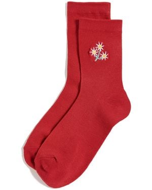 Stems Triple Daisy Embroidered Crew Socks
