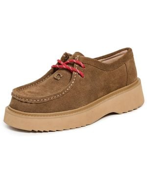 COACH Sculpted C Chukka Boots - Multicolor