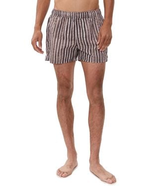 AUTO-REPLY Printed Sebastian Swim Trunks 4 - Multicolour