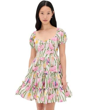 The Lulo Project The Bloom Mini Dress - Multicolor