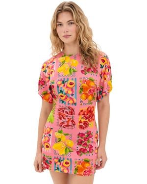 Never Fully Dressed Fruit Stamps Mini Dress - Red