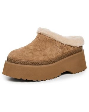 COACH Platform Shoes "Cecelia" - Brown