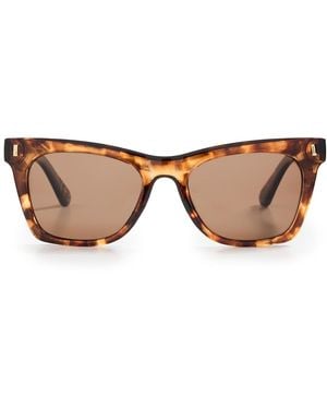 Aire Bellatrix Sunglasses - Brown