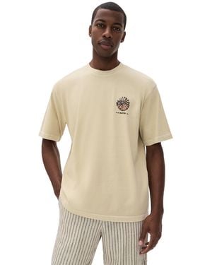 Katin Specimen Box Fit Tee - Natural