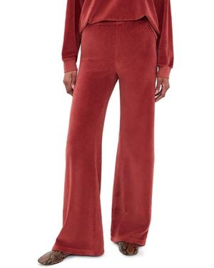 Suzie Kondi Zephyra Velour Pants - Red