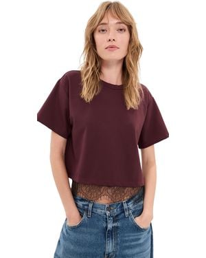 Le Bos Lace Hazel Cropped Tee - Purple
