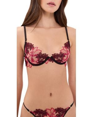 Bluebella Calantha Wired Bra - Black