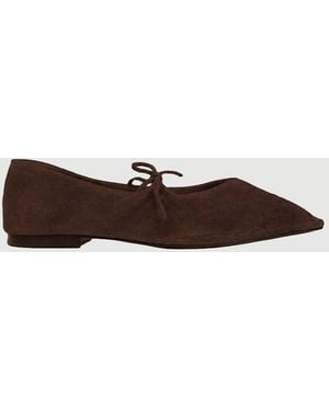Alohas Sway Suede Coffee Leather Ballet Flats - Brown