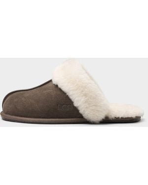 UGG Scuffette Ii Chocolate Brown Mule Slippers