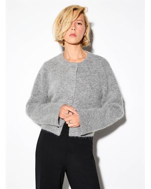 Icône Boxy Cropped Crew - Grey