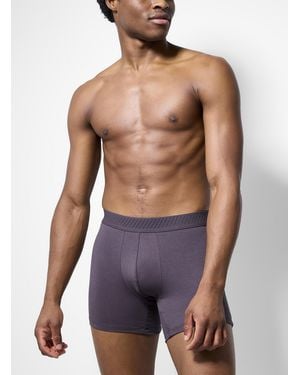 Le 31 5" Neutral - Blue